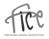 Logo fice